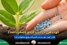 آموزش کوددهی درخت گردو (صفرتاصد)