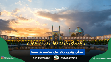 راهنمای خرید نهال در اصفهان