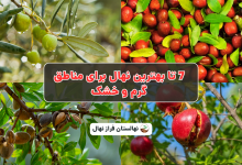 7تابهترین نهال برای مناطق گرم وخشک