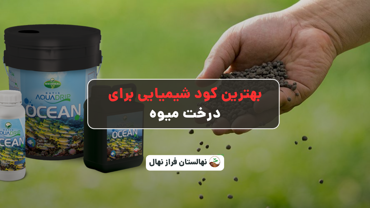 بهترین کود شیمیایی برای درخت میوه