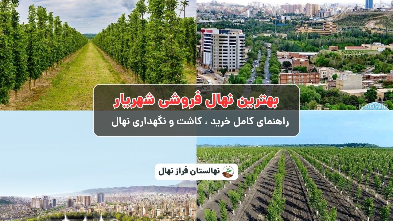 بهترین نهال فروشی شهریار