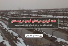 علت آبیاری درختان گردو درزمستان