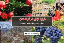 خرید نهال در کردستان