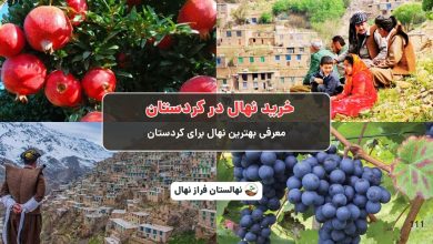 خرید نهال در کردستان