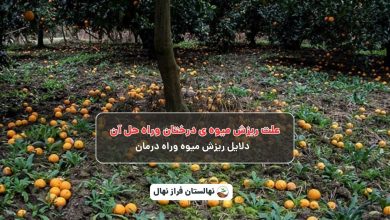 علت ریزش میوه ی درختان وراه حل آن