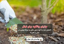 مزایای چالکود برای نهال