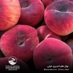 نهال هلو انجیری خونی