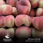 نهال هلو انجیری مالکی