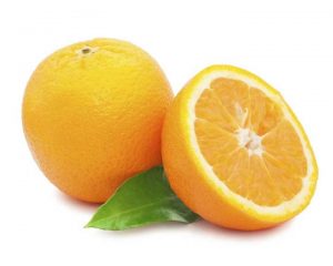 نهال پرتقال بیروتی