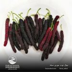 نهال توت موزی سیاه (3)