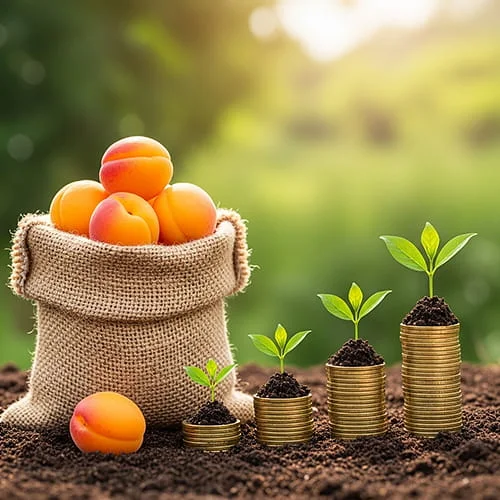 مزایای خرید نهال زردآلو