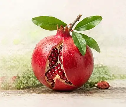 خرید نهال انار