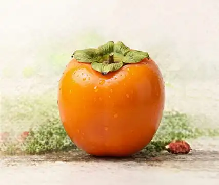 خرید نهال خرمالو