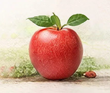 خرید نهال سیب