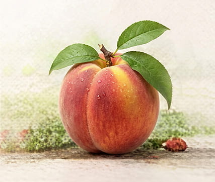 خرید نهال هلو