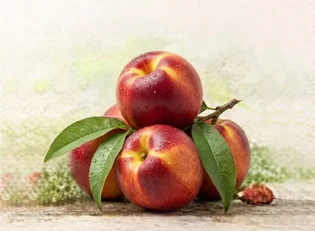 خرید نهال شلیل
