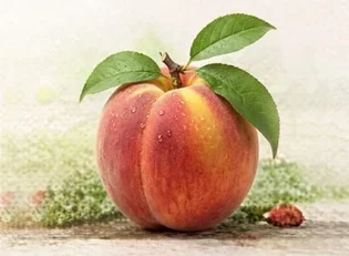 خرید نهال هلو